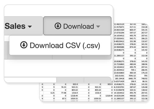 Export Reports